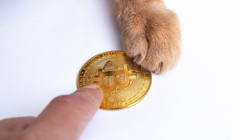 Dogecoin, Shiba Inu Memecoins Have Rivals at Crypto Food Bowl