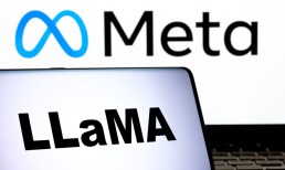 AWS Makes Meta’s Llama 3.2 LLMs Available to Customers